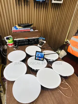8n1 Ceiling Speakers With 4inches Smart Amplifier