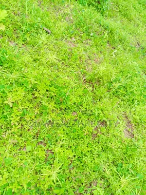 1,900sqm Residential Land at Asokoro Extension