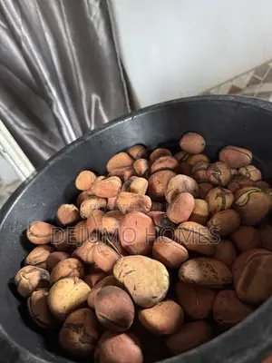 Kola Nut and Bitter Kola