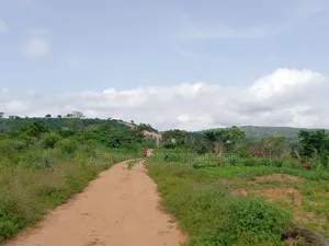 Blossom Estate