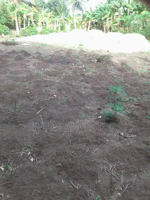 Plot of Land