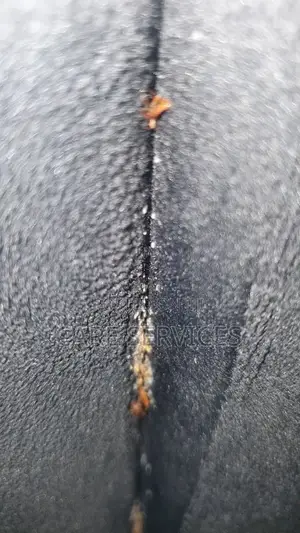 Fumigate Your Apartment