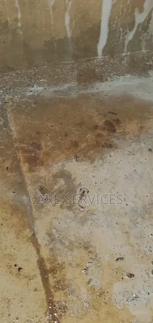 Fumigate Your Apartment