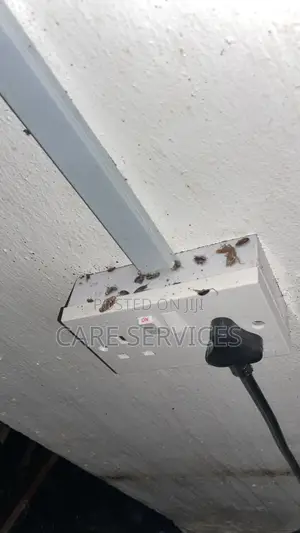 Fumigate Your Apartment