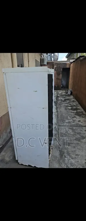Standing Freezer