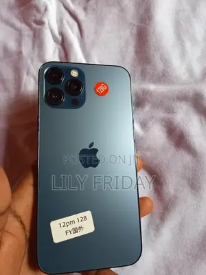 Apple iPhone 12 Pro Max 256 GB Blue