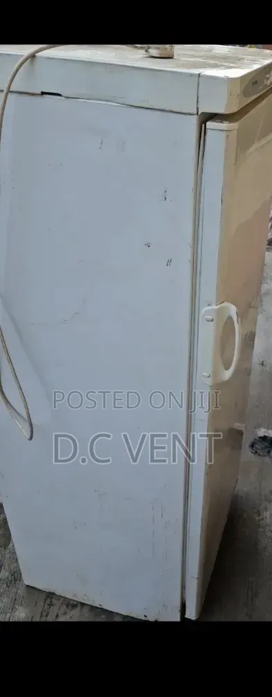 Standing Freezer