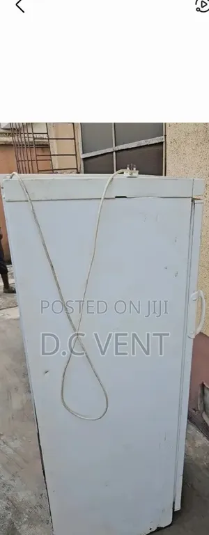 Standing Freezer
