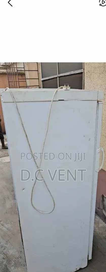 Standing Freezer