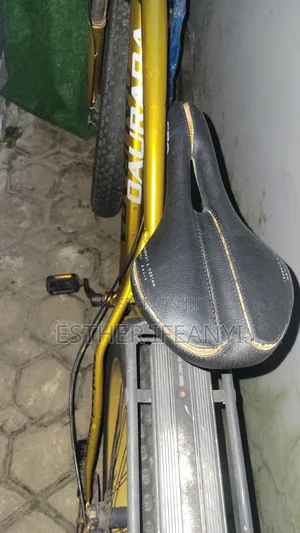 Original Mountain Fat Bicycle