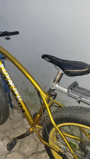 Original Mountain Fat Bicycle