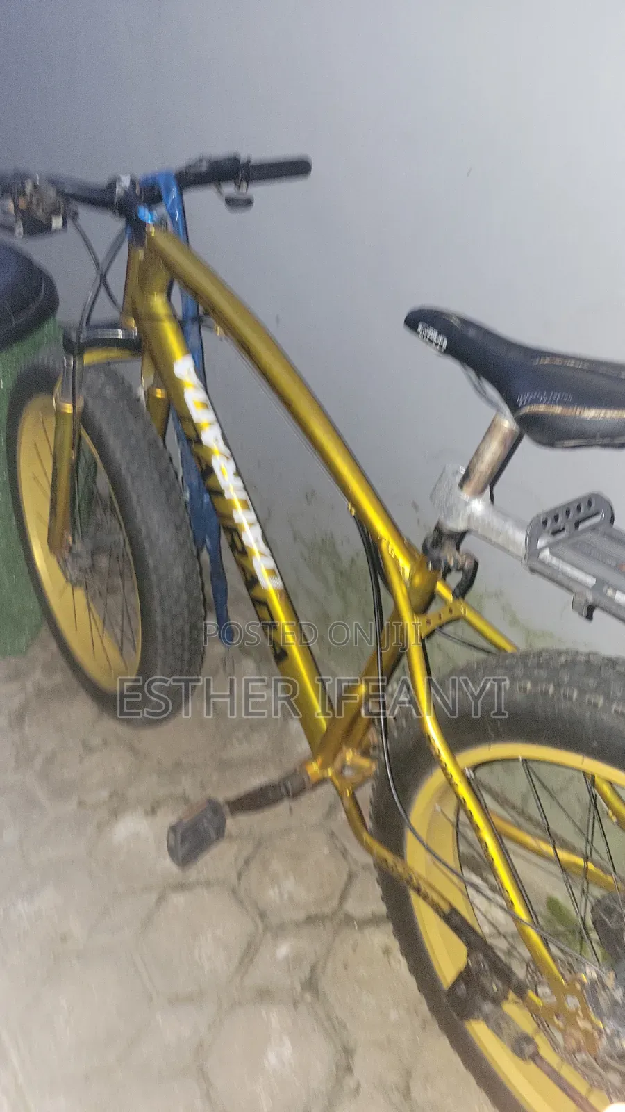Original Mountain Fat Bicycle