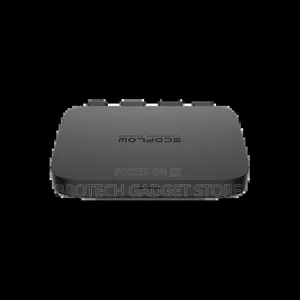 Ecoflow 800w Alternator Charger With 2 Years Warranty
