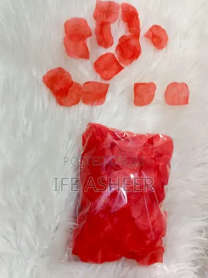 Red Petals for Decorations - 300pcs in 1 Pack