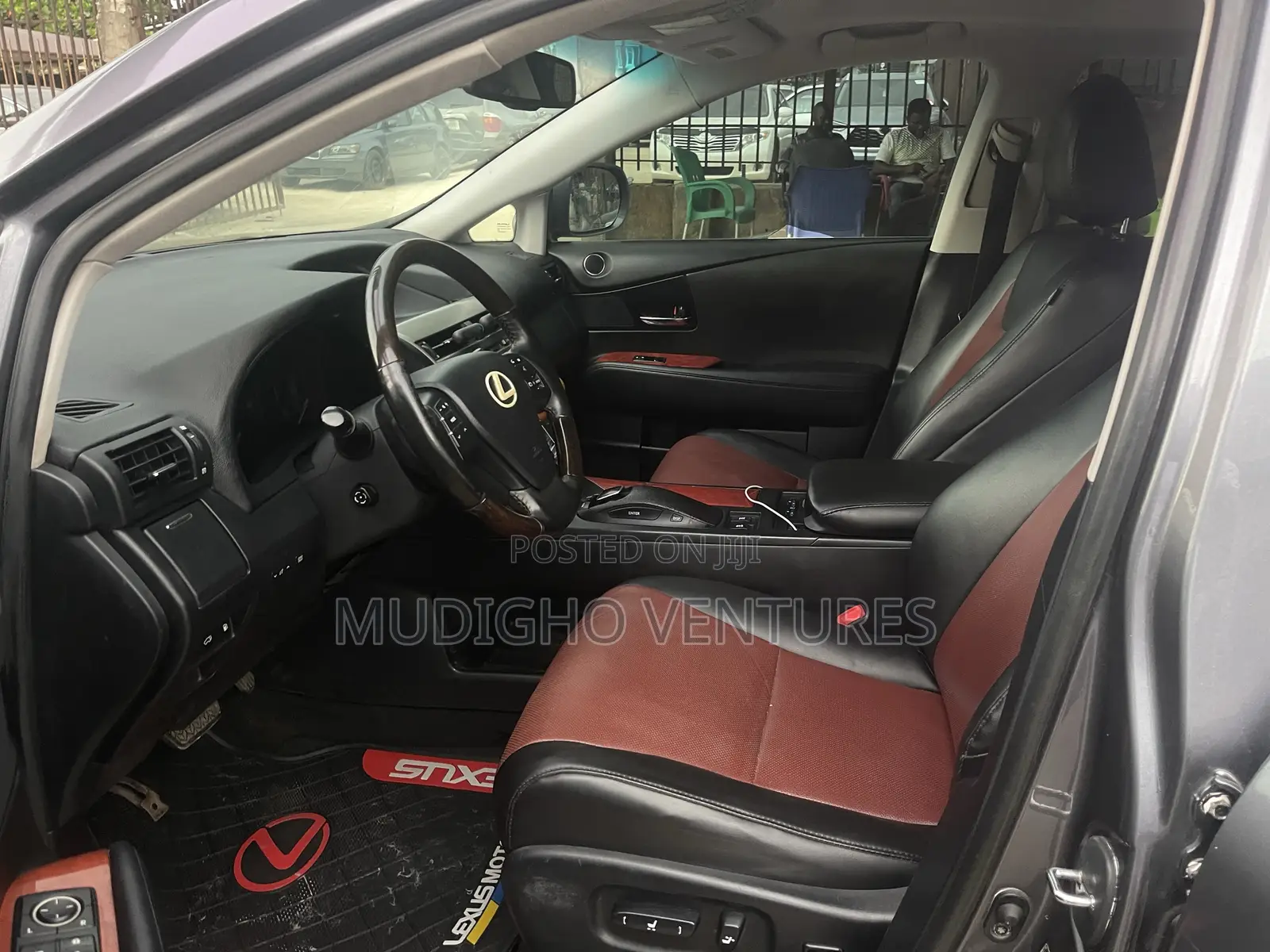 Lexus RX 2010 Gray