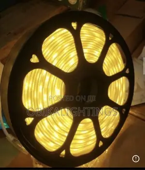 Warm White Rope Light