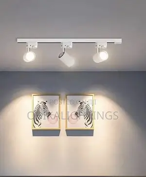 40w Track Lights