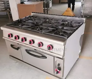 Imported Industrial Cooker, It Comes With Oven