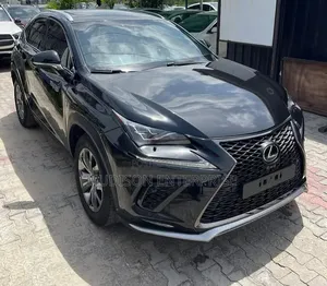 Lexus NX 300 FWD 2019 Black
