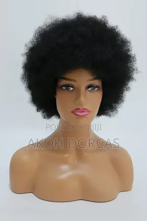 Synthetic Afro Wig