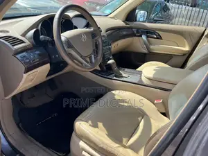 Acura MDX Advance Package SUV AWD (3.7L 6cyl 6A) 2010 Gray