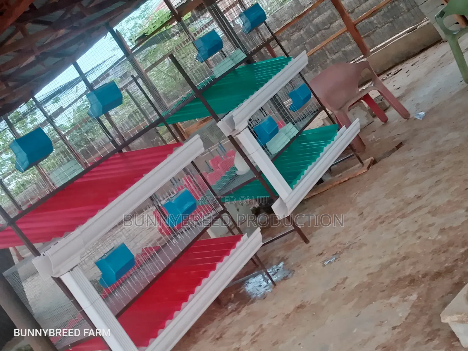 Modern Commercial Rabbit Cage – Strong, Spacious Easy to Maintain