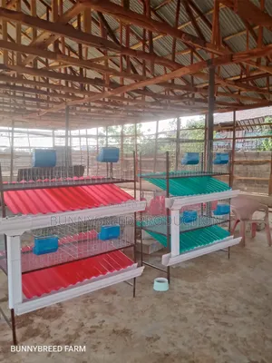Modern Commercial Rabbit Cage – Strong, Spacious Easy to Maintain