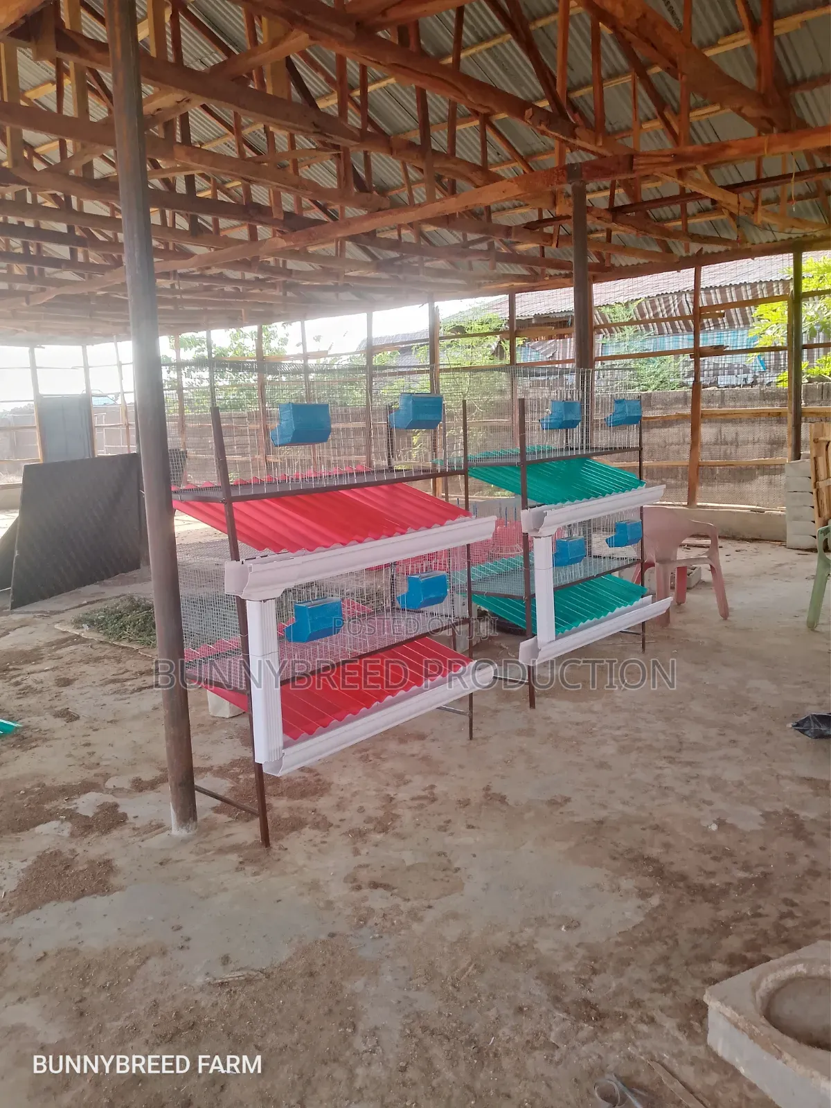 Modern Commercial Rabbit Cage – Strong, Spacious Easy to Maintain