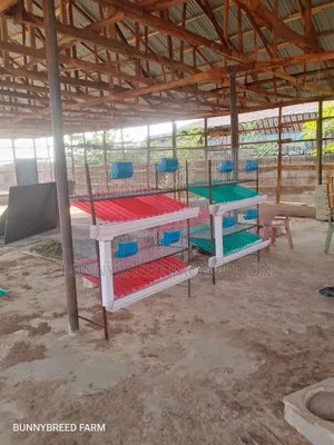 Modern Commercial Rabbit Cage – Strong, Spacious Easy to Maintain