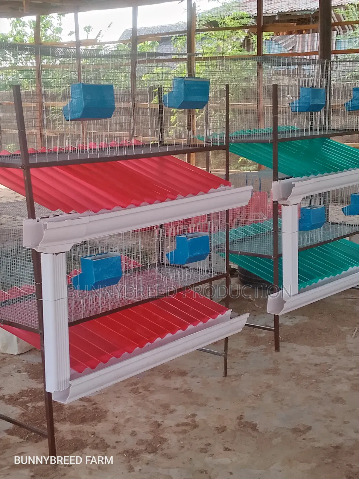 Modern Commercial Rabbit Cage – Strong, Spacious Easy to Maintain