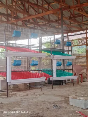 Modern Commercial Rabbit Cage – Strong, Spacious Easy to Maintain