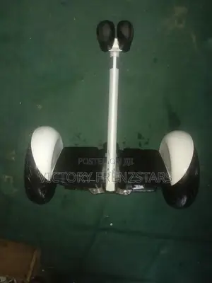 Segway Ninebot S Mini