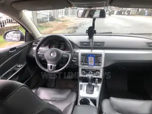 Volkswagen Passat 2010 Gray