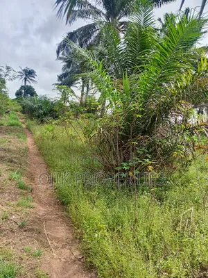 Landed Property