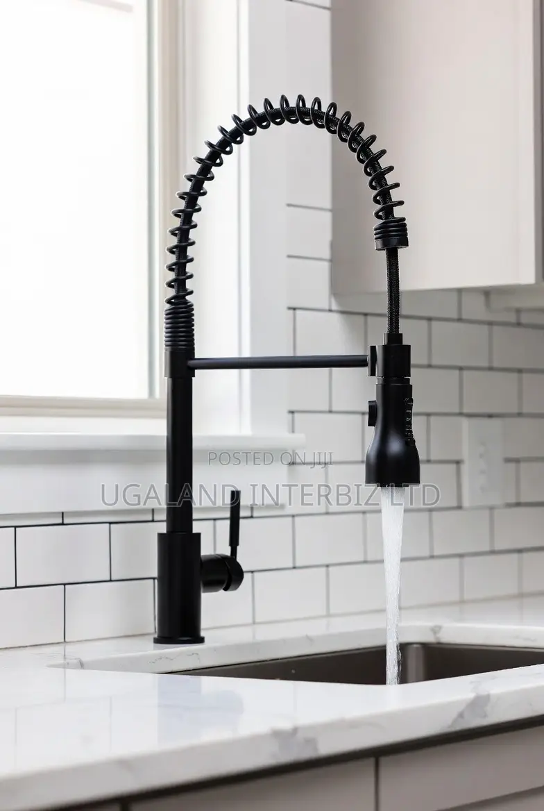 Modern Pull Down Kitchen Faucet With Flexible Sprayer