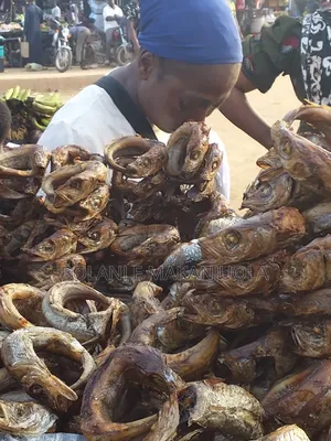 Smoke And Dried Fish