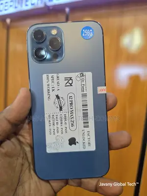 Apple iPhone 12 Pro Max 256 GB