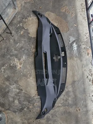 Radiator Plastic Is250 015