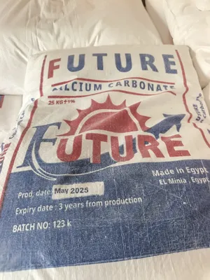 Future Calcium Carbonate