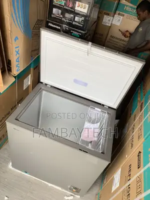 260sh Hisense Large Storage Capacity Freezer