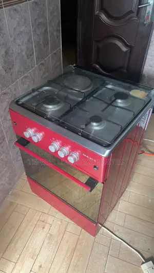 Maxi Electric and Gas Powered Oven and Cooker All in One