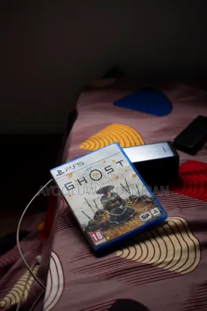 Ghost of Yotei Ps5 Disk