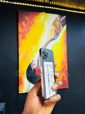 Apple iPhone 12 Pro 256 GB Gray
