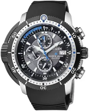 Citizens Eco Drive Wrist Watch