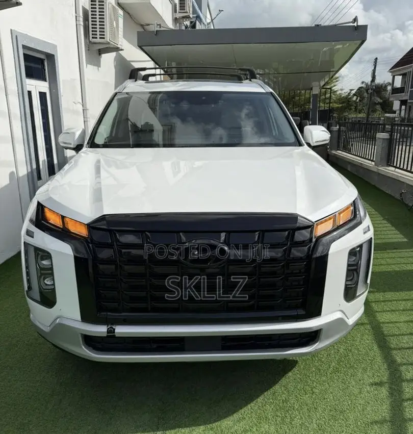 Hyundai Palisade 2023 White