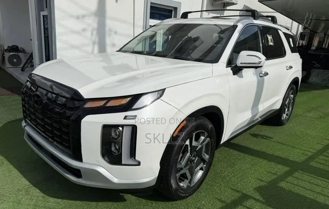 Hyundai Palisade 2023 White
