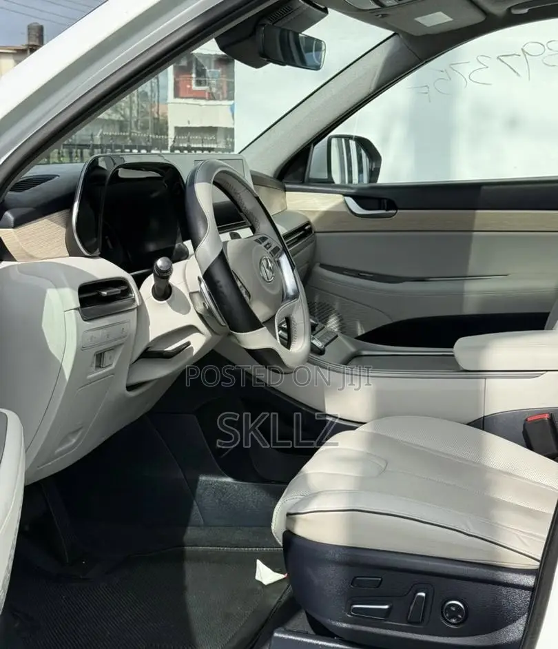 Hyundai Palisade 2023 White