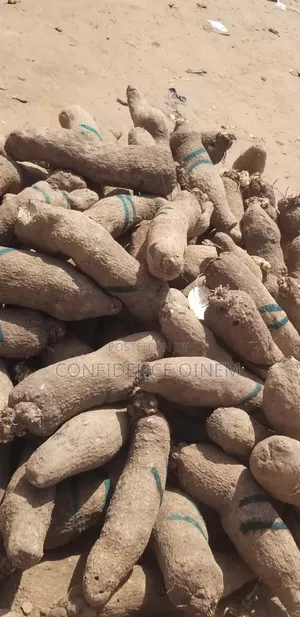 Pure White Yam