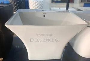 Wall Hung Basin
