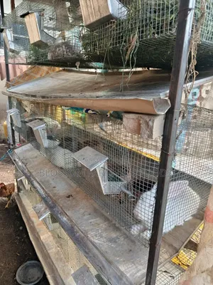 9 Rooms Rabbit Cage